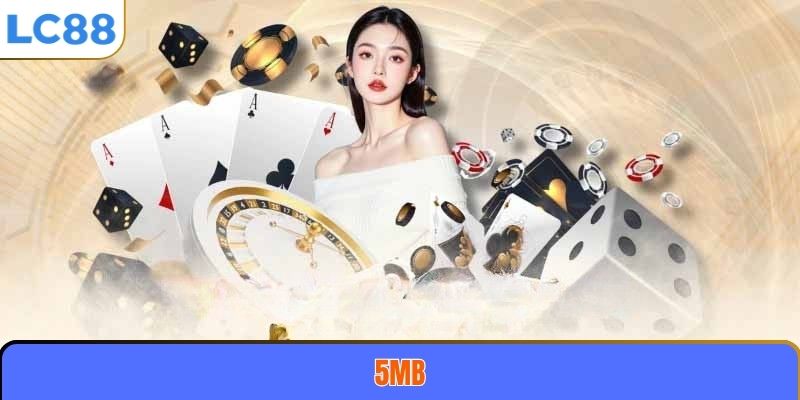 5MB